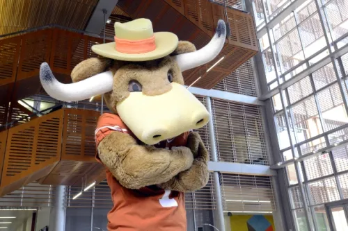 Hook 'Em, UT Mascot, looking serious