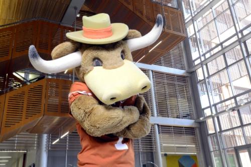 Hook 'Em, UT Mascot, looking serious