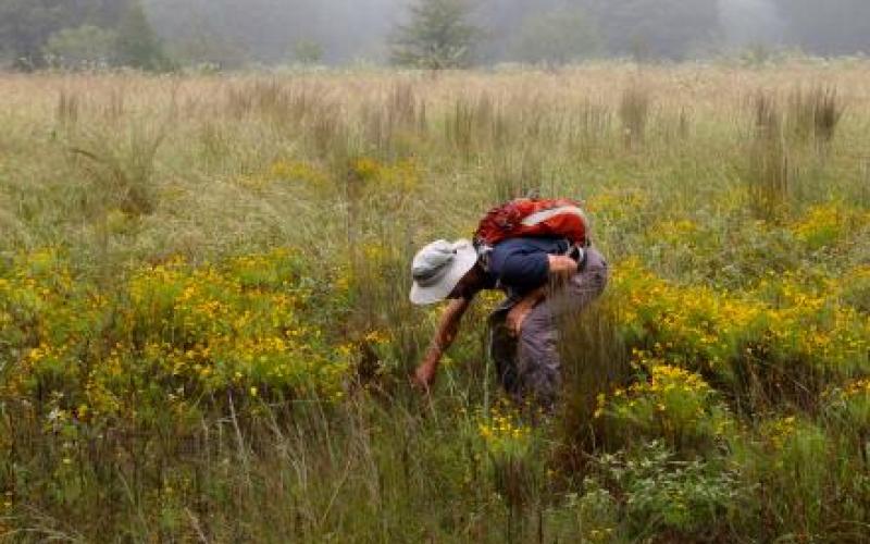 Student doing filed research at biodiversity center
