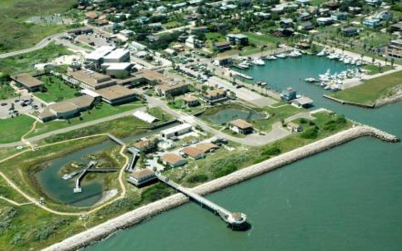 Marine Science Institute