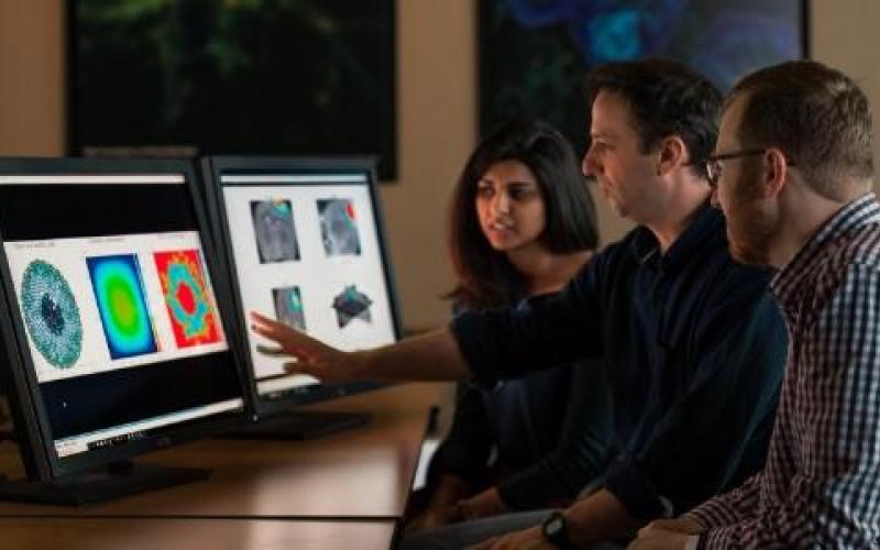 three researchers reviewing image on screen